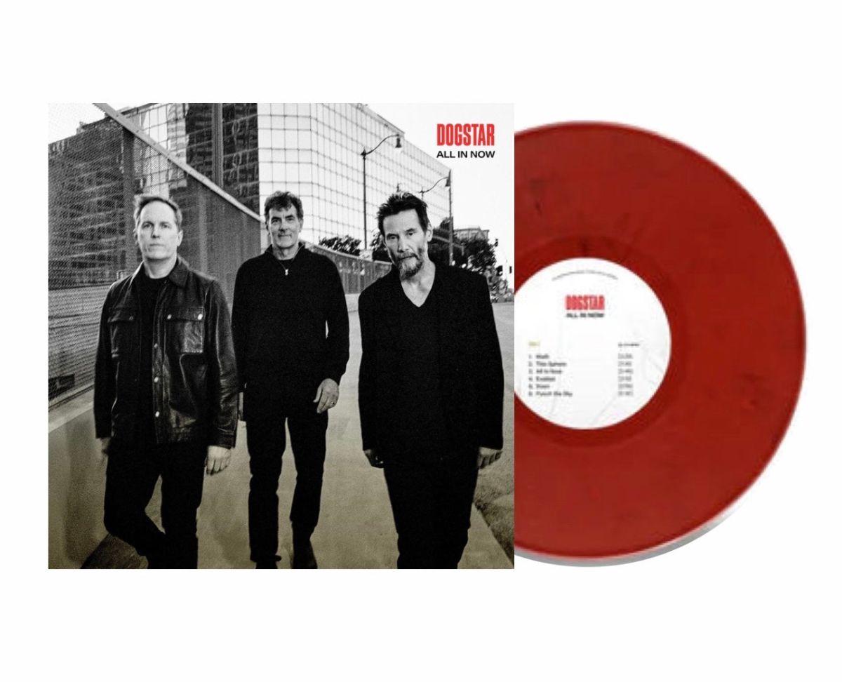CD Shop - DOGSTAR ALL IN NOW
