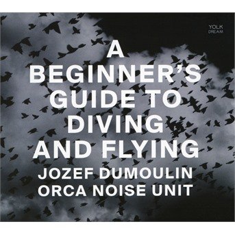 CD Shop - JOZEF DUMOULIN A BEGINNER\