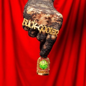 CD Shop - BUCK GOOTER HEAD IN A BIRD CAGE