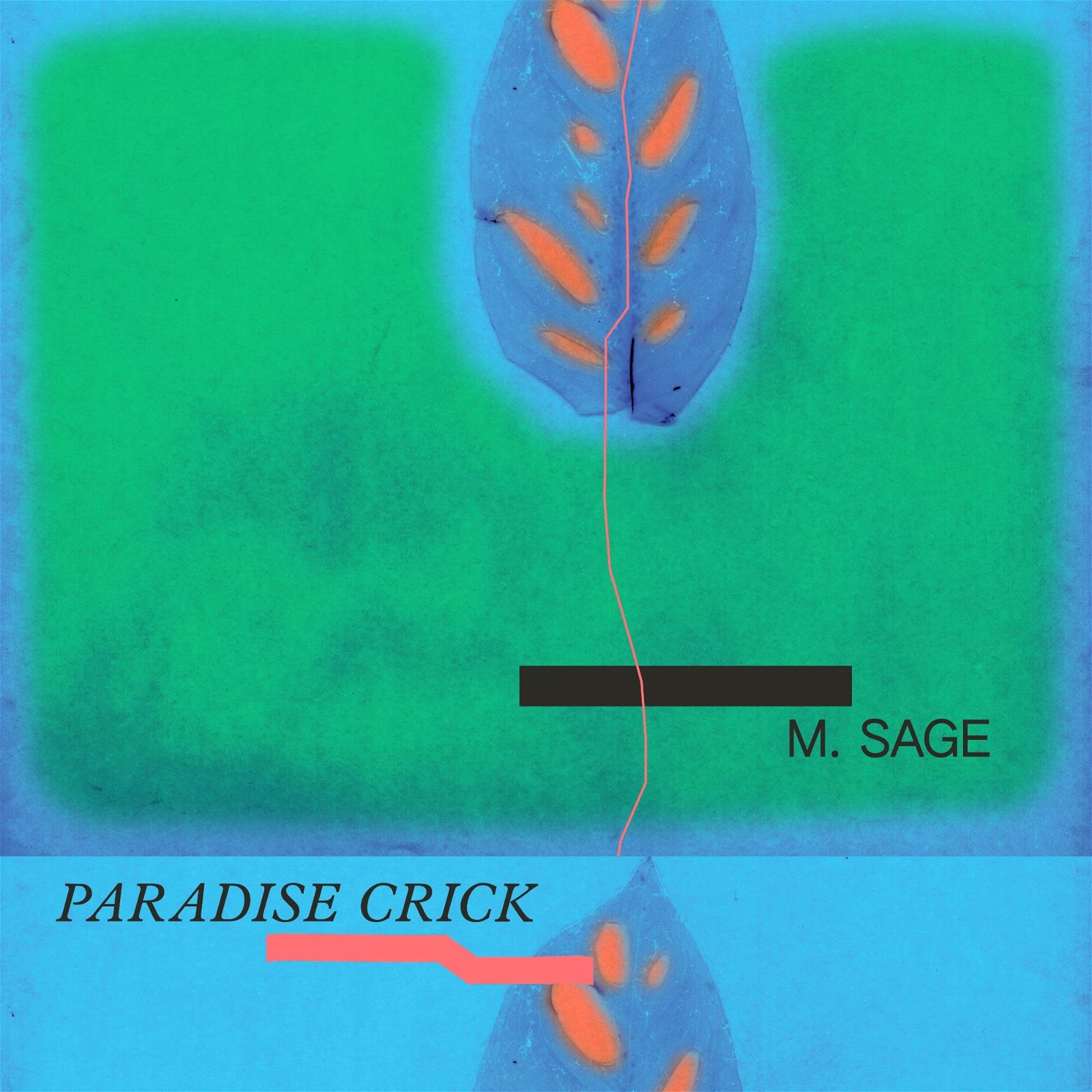 CD Shop - M. SAGE PARADISE CRICK