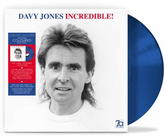 CD Shop - DAVY JONES INCREDIBLE!