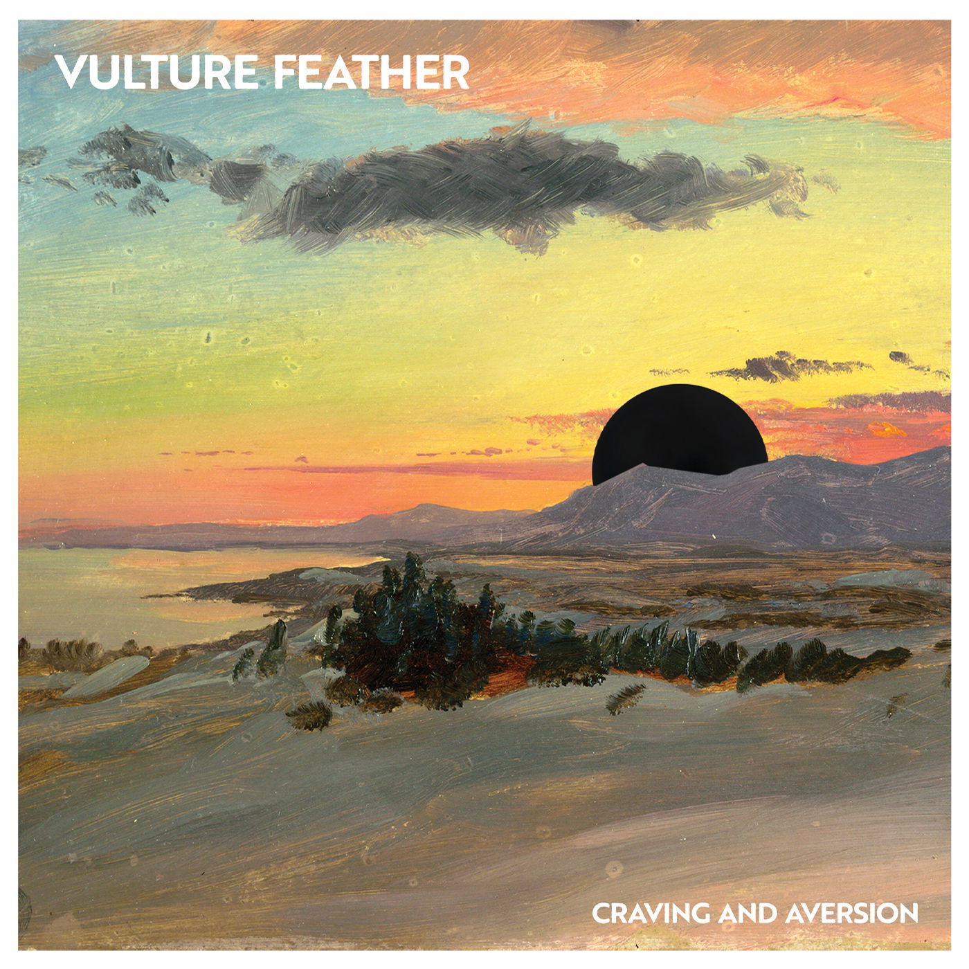 CD Shop - VULTURE FEATHER CRAVING AND AVERSION