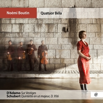 CD Shop - SCHUBERT D\