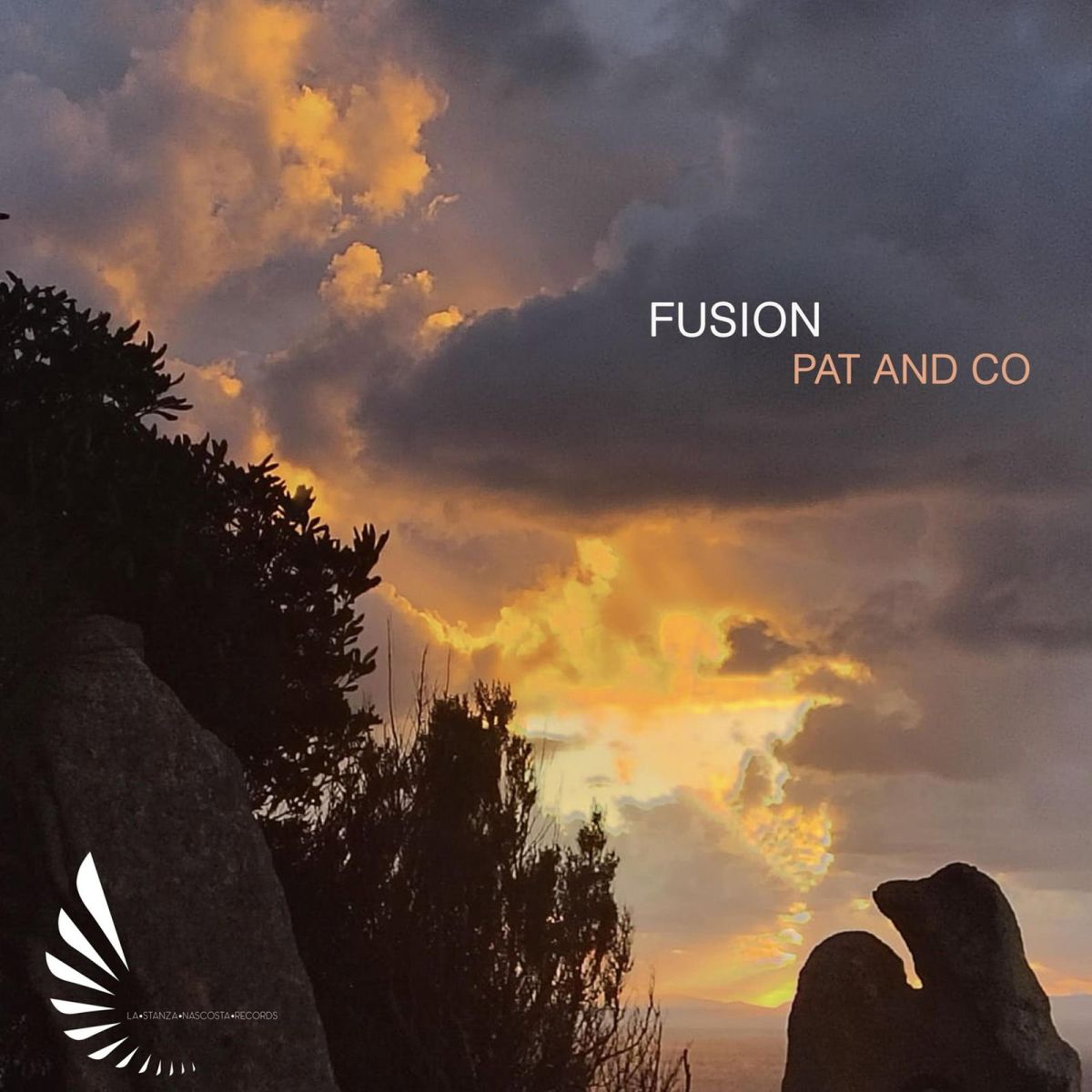 CD Shop - PAT AND CO FUSION