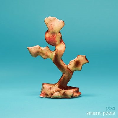 CD Shop - POZI SMILING POOLS