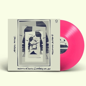 CD Shop - MATTHEW E. & LONNIE HOLLEY WHITE BROKEN MIRROR: A SELFI...