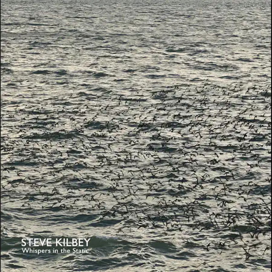 CD Shop - STEVE KILBEY WHISPERS IN THE ATTIC