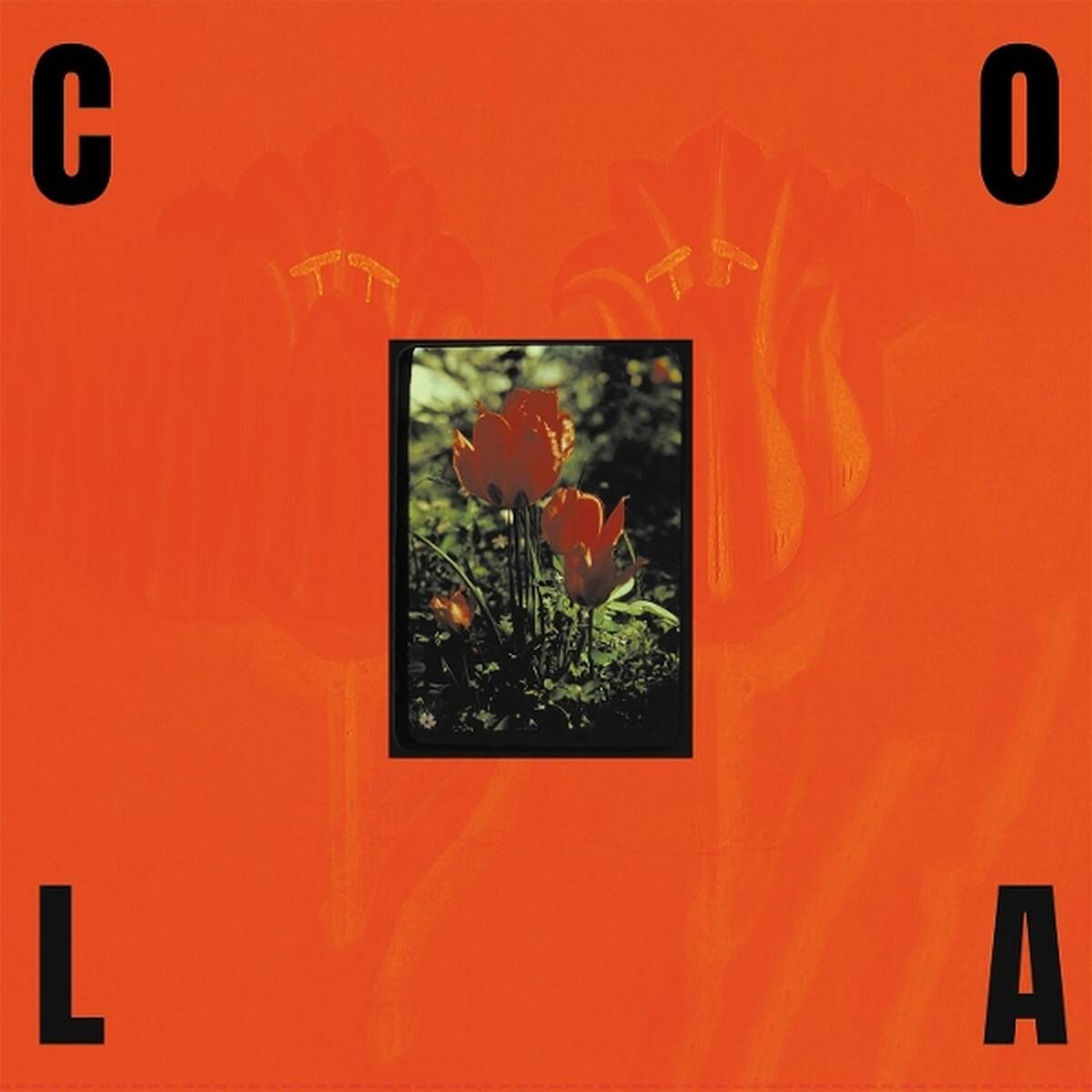 CD Shop - COLA GLOSS
