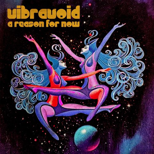 CD Shop - VIBRAVOID A REASON FOR NOW