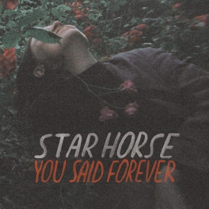 CD Shop - STAR HORSE YOU SAID FOREVER