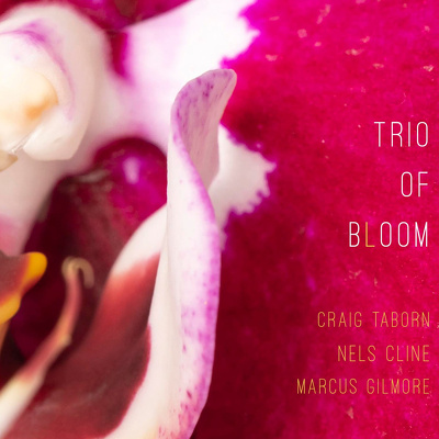 CD Shop - TRIO OF BLOOM TRIO OF BLOOM