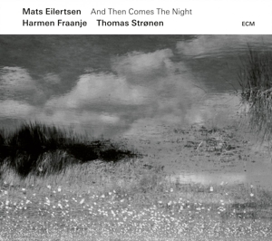 CD Shop - MATS EILERTSEN AND THEN COMES THE NIGHT
