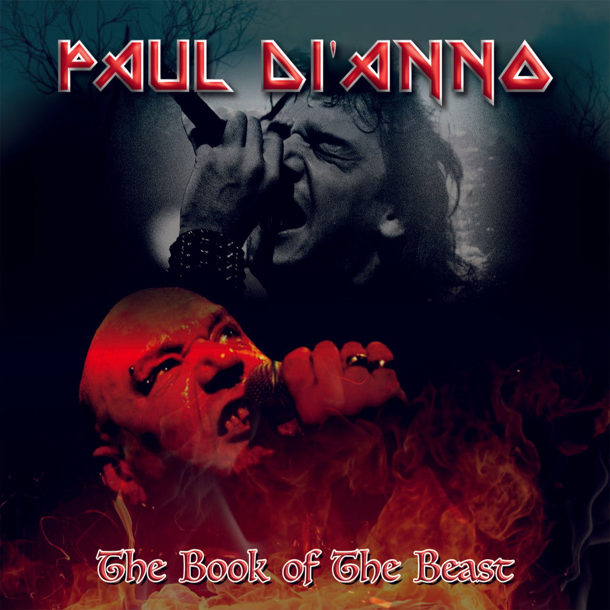 CD Shop - PAUL DI\