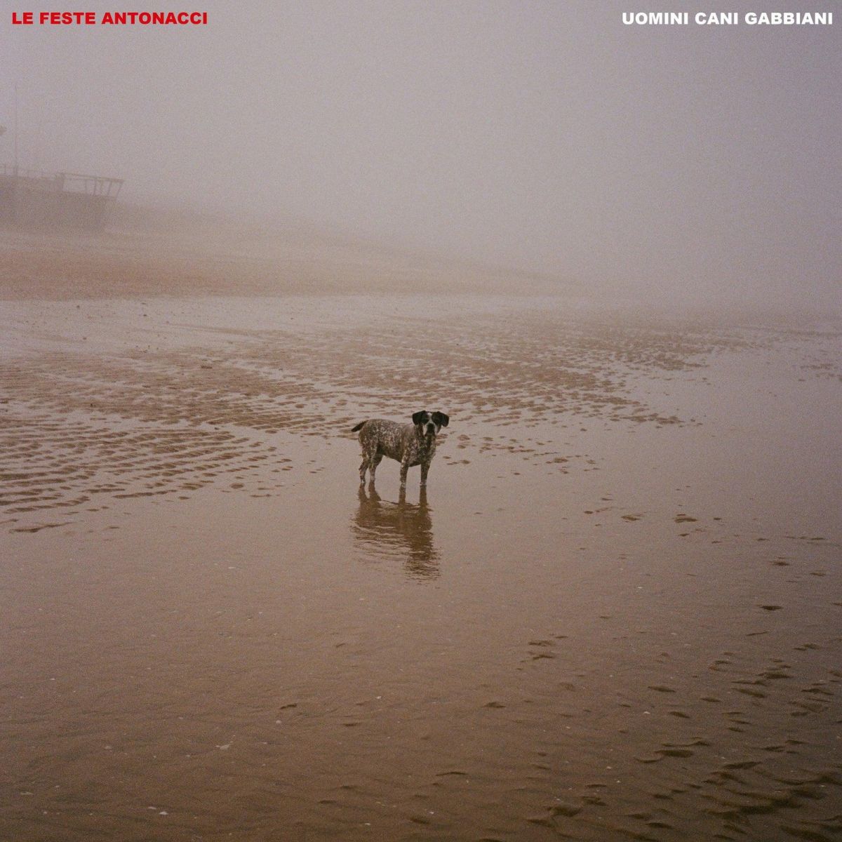 CD Shop - LE FESTE ANTONACCI UOMINI CANI GABBIANI