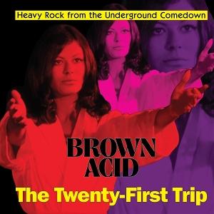 CD Shop - VARIOUS ARTISTS BROWN ACID: THE 21TH TRIP