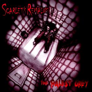 CD Shop - SCARLET\