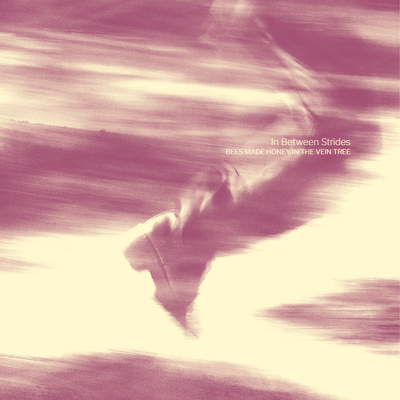 CD Shop - BEES MADE HONEY IN THE VEIN TREE IN BE