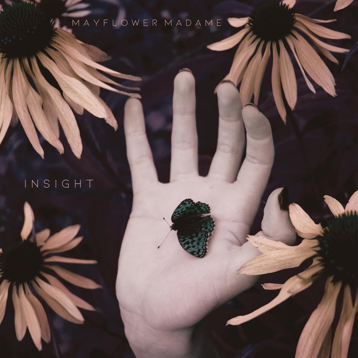 CD Shop - MAYFLOWER MADAME INSIGHT