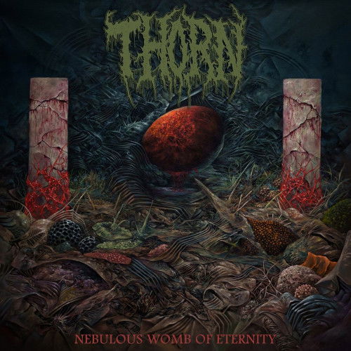 CD Shop - THORN  NEBULOUS WOMB OF ETERNITY