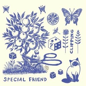 CD Shop - SPECIAL FRIEND CLIPPING