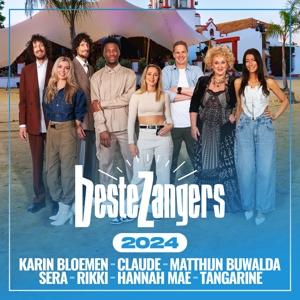 CD Shop - VARIOUS ARTISTS BESTE ZANGERS SEIZOEN ...
