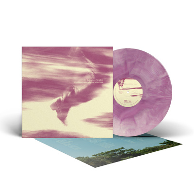 CD Shop - BEES MADE HONEY IN THE VEIN TREE IN BE