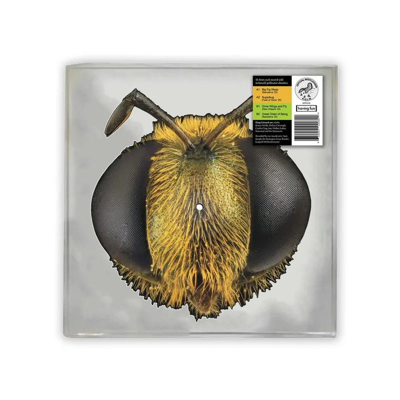 CD Shop - KING GIZZARD & THE LIZARD WIZARD BIG FIG WASP