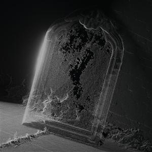 CD Shop - VISIBLE CLOAKS PARADESSENCE
