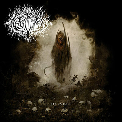 CD Shop - NAGLFAR HARVEST LTD.