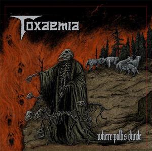 CD Shop - TOXAEMIA WHERE PATHS DIVIDE