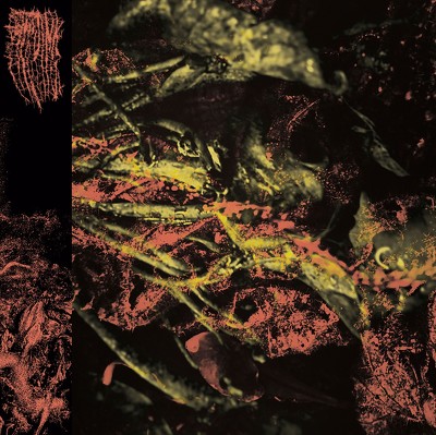 CD Shop - HISSING PERMANENT DESTITUTION