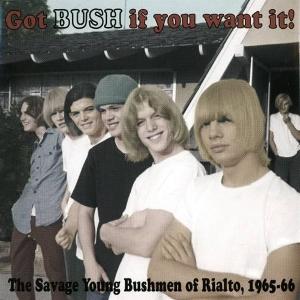 CD Shop - THE BUSH GOT BUSH IF YOU WANT IT