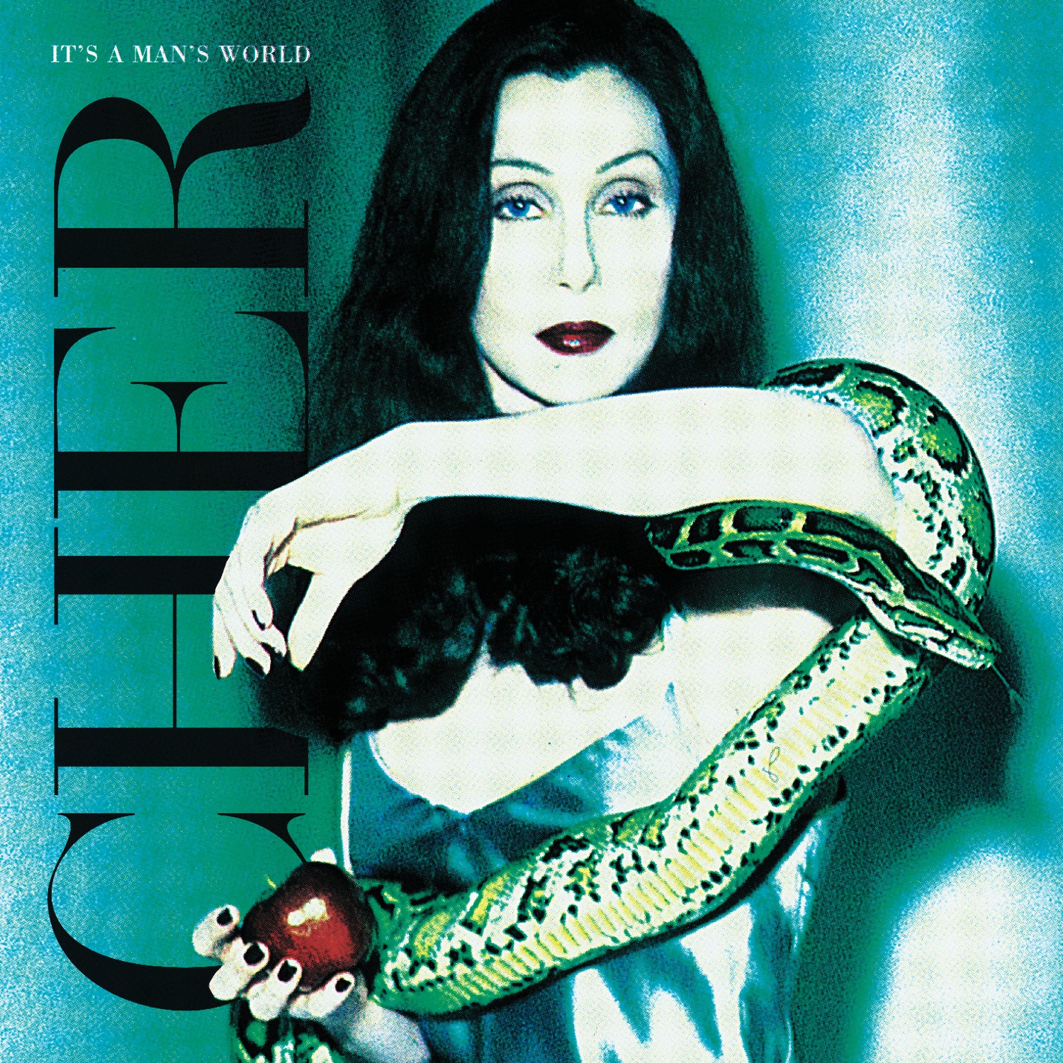 CD Shop - CHER IT\
