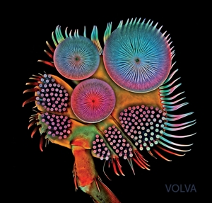 CD Shop - ECHOLOT VOLVA