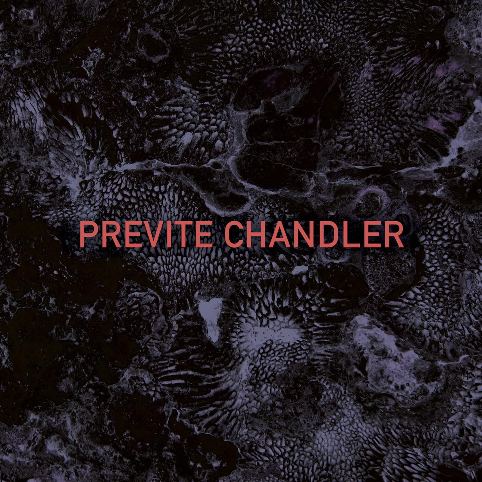CD Shop - PREVITE CHANDLER PREVITE CHANDLER
