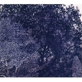 CD Shop - AYNUR BEGUTOV EVOLUTION