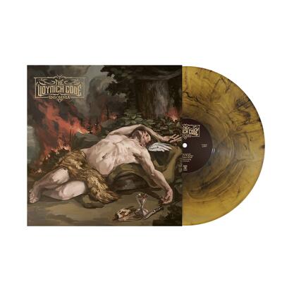 CD Shop - VOYNICH CODE INSOMNIA
