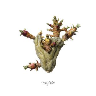 CD Shop - LADE: Deti