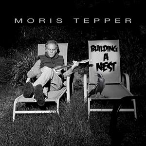 CD Shop - MORIS TEPPER BUILDING A NEST
