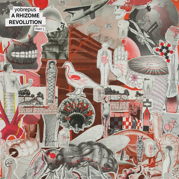 CD Shop - YOBREPUS YOBREPUS - A RHIZOME R...