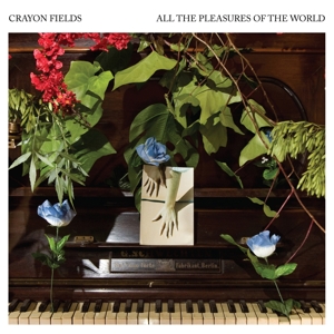 CD Shop - CRAYON FIELDS ALL THE PLEASURES OF T...