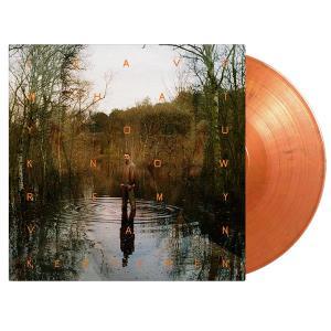 CD Shop - REMY VAN KESTEREN LEAVE WHAT YOU KNOW