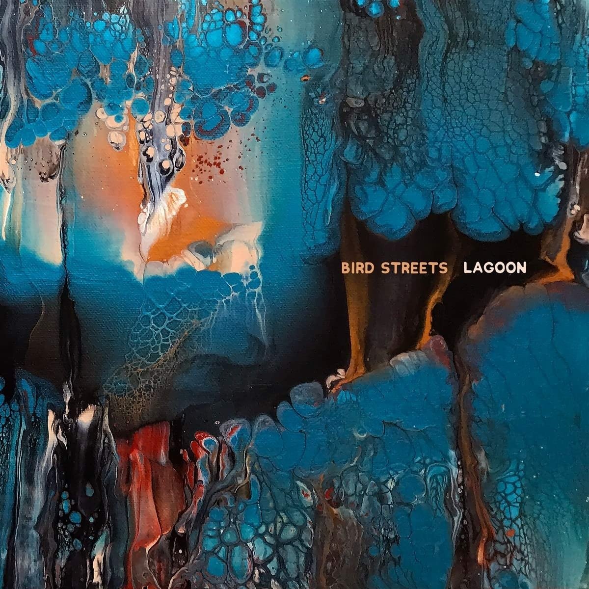 CD Shop - BIRD STREETS LAGOON