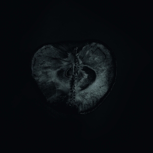CD Shop - SADON & TREHA SEKTORI SYMPHONY OF DYING