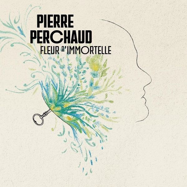 CD Shop - PIERRE PERCHAUD FLEUR D\