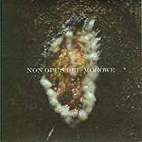 CD Shop - NON OPUS DEI/MOROWE DZIWKI DWIE