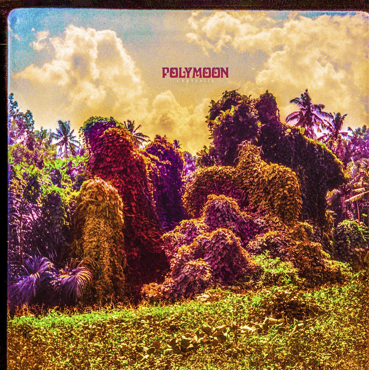 CD Shop - POLYMOON CHRYSALIS