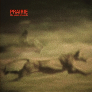 CD Shop - PRAIRIE LIKE A PACK OF HOUNDS