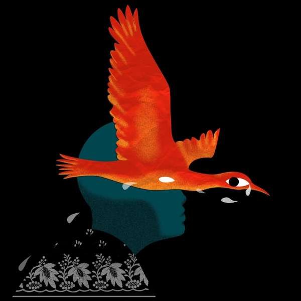 CD Shop - MEIMUNA BESTIAIRE II