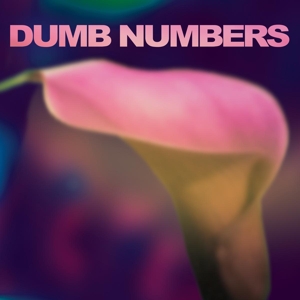 CD Shop - DUMB NUMBERS DUMB NUMBERS